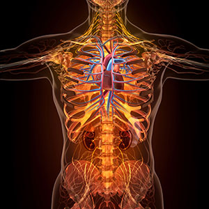 Your-Bodies-ERP-System