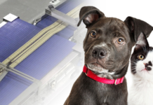 Manufacturing Food: Do You Know How Pet Food and Treats are Made? Do you know how pet food is made?