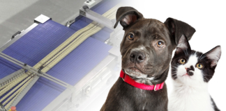Do you know how pet food is made?