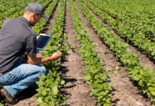 It’s Time to Digitize the Food and Beverage Industry man, field, tablet, grow, plants, jeans
