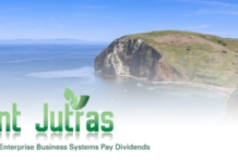 mint jutras, analyst, channel islands, erp