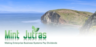 mint jutras, analyst, channel islands, erp