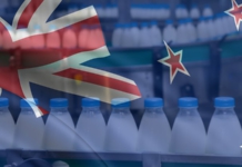 doing business, new zealand
