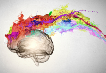 brain, creative, colors, innovation, workplace