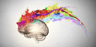 brain, creative, colors, innovation, workplace