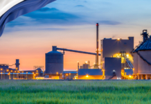 doing business in, the netherlands, netherlands, manufacturing