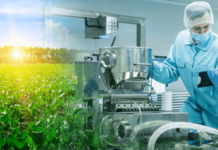 manufacturing, beet sugar, sugar, food and beverage manufacturing, beet sugar shortage