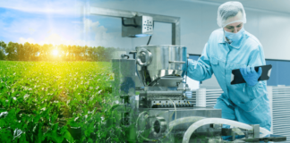 manufacturing, beet sugar, sugar, food and beverage manufacturing, beet sugar shortage