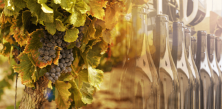 Viña Undurraga, case stuyd, winemaking, wine production, customer success, wine, production visibility