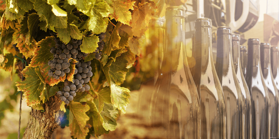 Viña Undurraga, case stuyd, winemaking, wine production, customer success, wine, production visibility