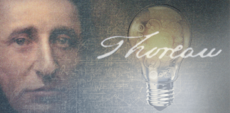 sustainability, henry david thoreau, thoreau, champions of sustainability