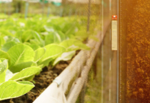 food and beverage supply chain, supply chain, food and beverage, supply chain management