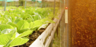 food and beverage supply chain, supply chain, food and beverage, supply chain management