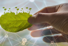 sustainability, sustainable practices, ERP, cloud ERP