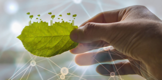 sustainability, sustainable practices, ERP, cloud ERP