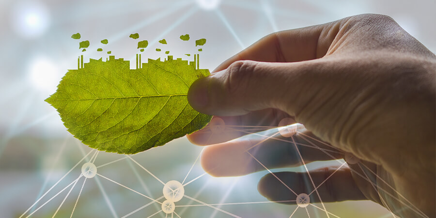 sustainability, sustainable practices, ERP, cloud ERP