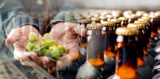 Beer industry, International Beer Day, Brewer supplier relationships