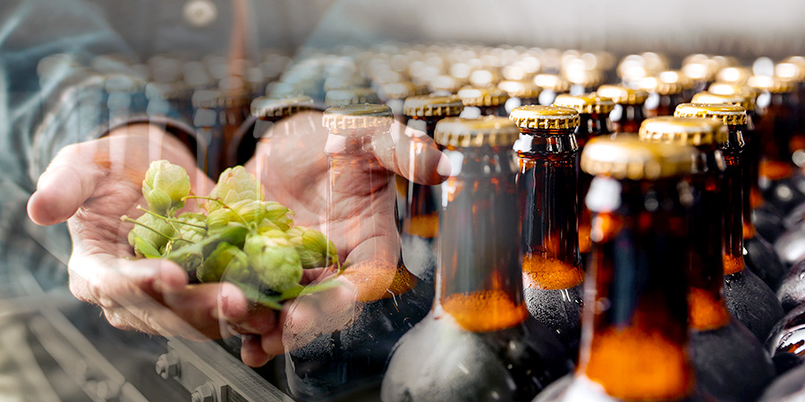 Beer industry, International Beer Day, Brewer supplier relationships