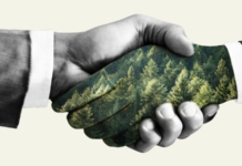 consumer behavior, sustainability, global change, societal change, CSR