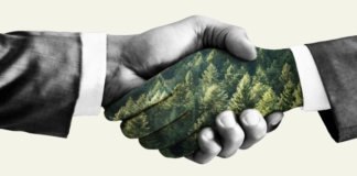 consumer behavior, sustainability, global change, societal change, CSR