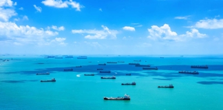 shipping and export management, ships