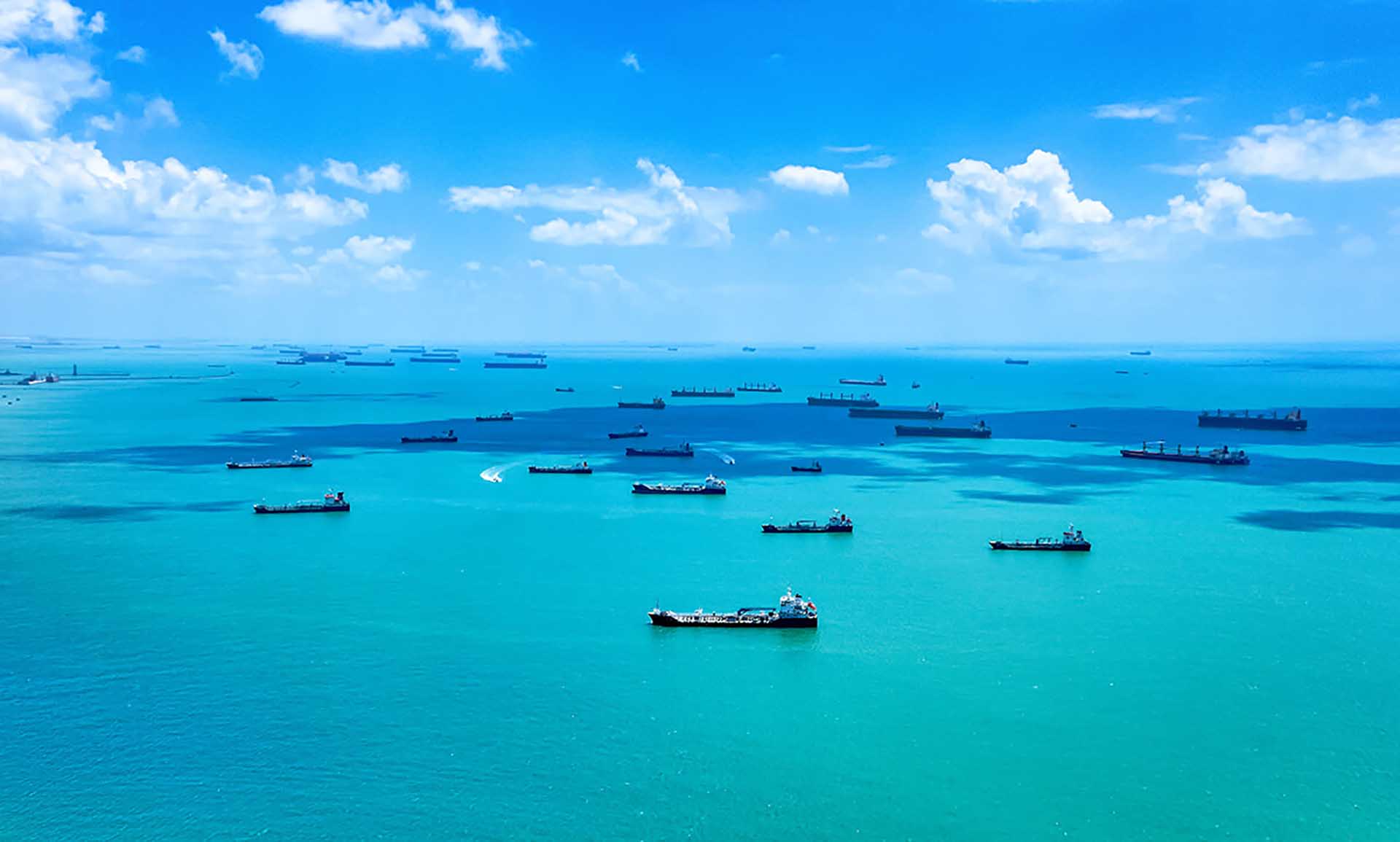 shipping and export management, ships