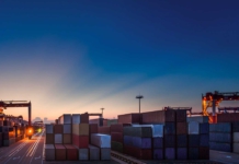 export management