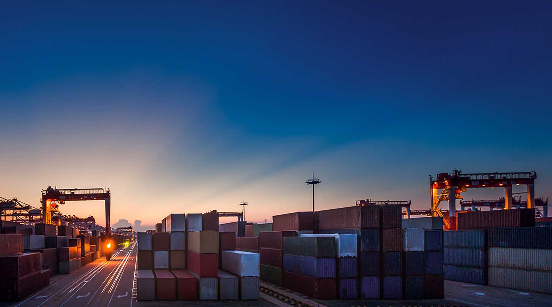 export management