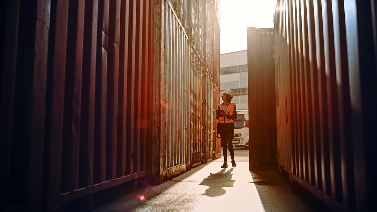 import management, cargo, shipping