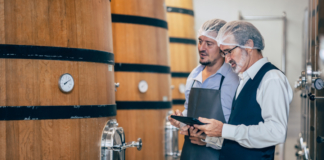 winemakers, winemaking, food & beverage, agriculture, chile