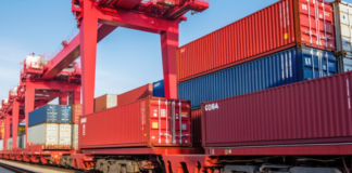 Import management, digitization