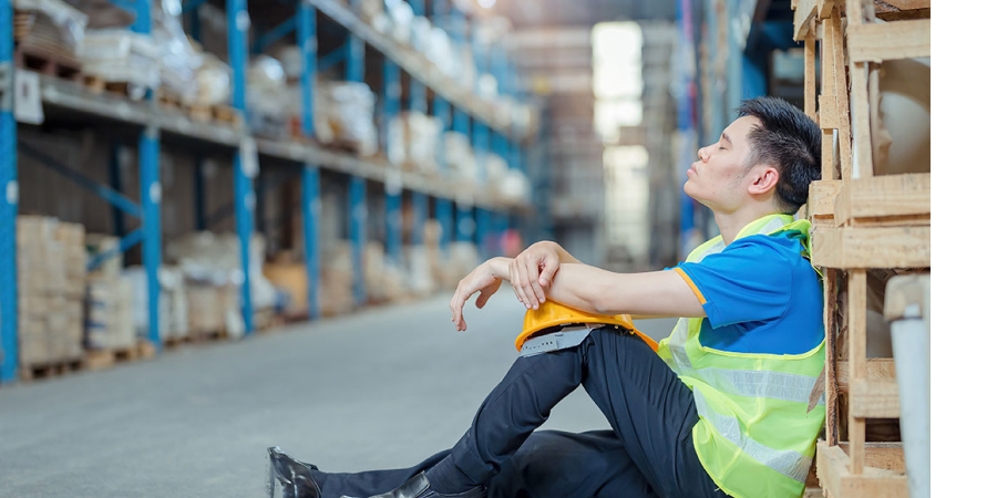 New ERP, ERP software